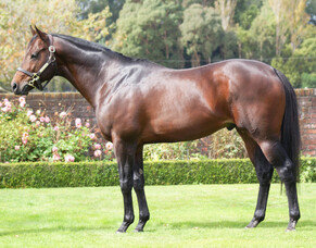 Per Incanto service headlines Hall of Fame auction items