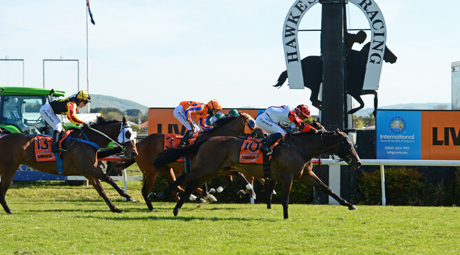 Savy Yong Blonk stretches bravely as she takes out the Gr.1 Livamol Classic (2040m) at Hastings Photo Credit: Race Images – Peter Rubery