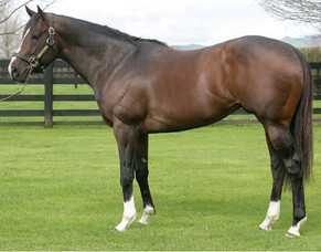 Well Done fires for Falkirk in Singapore