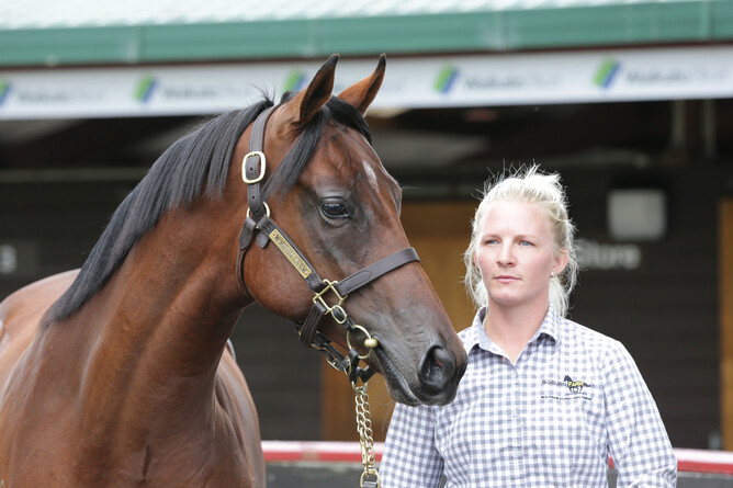 Lot 1119 Iffraaj ex Estelle colt  - Trish Dunell