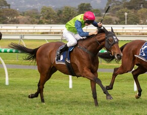 New Group winner for &#039;accidental&#039; breeder