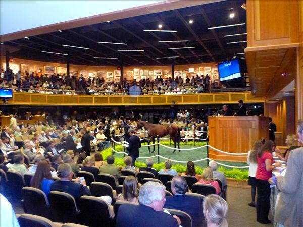 The Saratoga sale ring