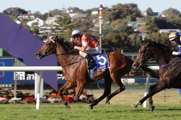 Who Shot Thebarman (Photo: NZTM)