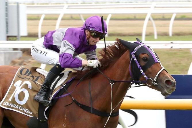 Ears Back preparing for further stakes targets - Photo: Race Images South