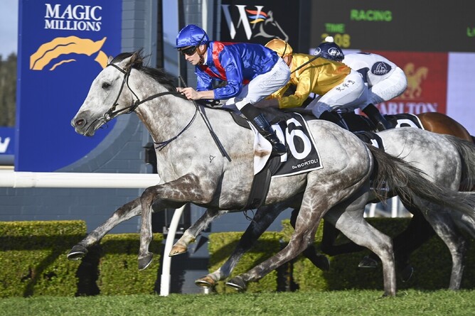 Well-bred Reliable Man gelding, Benaud, takes out the Listed Wyong Cup on Friday. - Photo: Bradley Photos