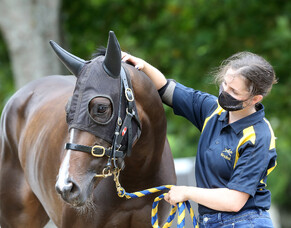 Novashow shines in Pearl Series race