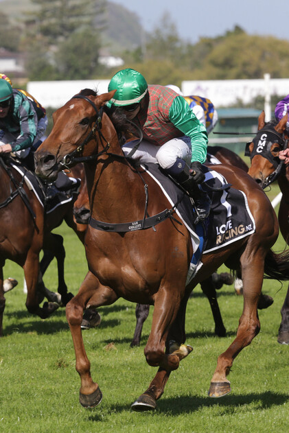 Travelling Light winning the Gr.3 Soliloquy Stakes - Trish Dunell