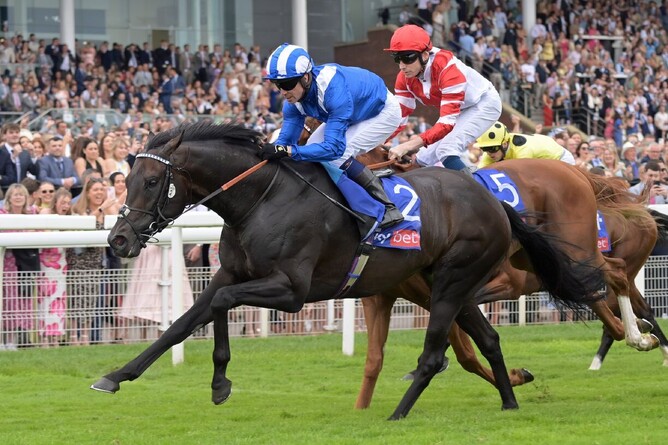 New White Robe Lodge stallion Alflaila defeating King's Gambit in the Gr.2 York Stakes (2100m).  - Photo: Supplied