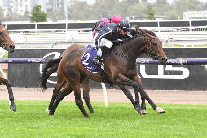 Bold Soul pictured at a previous win at Flemington. - Photo: Brett Holbut (Racing Photos)