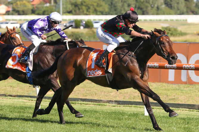Billy Egan guides Defibrillate to his second successive Listed Mornington Cup Prelude (2000m) at Caulfield Photo Credit: Bruno Cannatelli