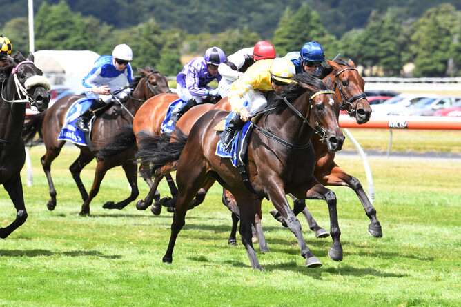 Lightly raced filly Force of Will takes out the Gr.3 New Zealand Bloodstock Desert Gold Stakes (1600m) at Trentham Photo Credit: Race Images – Peter Rubery