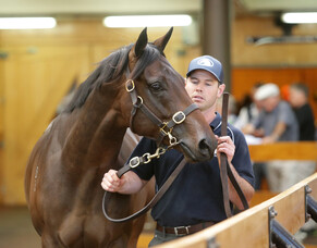 Smithies optimistic ahead of sale