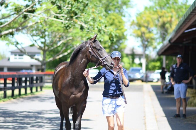 Former New Zealand eventer Annabel Tuthill is looking forward to kicking off her thoroughbred training career.  - Photo: Supplied