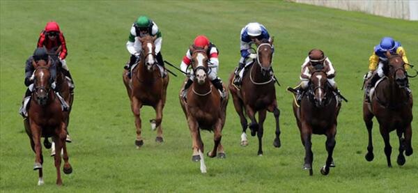 Way In (second from right) clings  to the lead to win her second Pearl bonus at Ellerslie last weekend. - Photo NZTM website