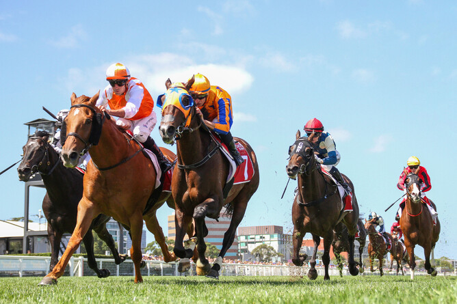 Campionessa (bay) holds off Vow and Declare to win the Gr.2 Peter Young Stakes (1800m) at Caulfield. - Photo: Bruno Cannatelli