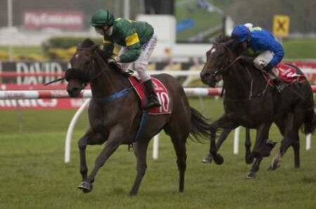 Sworn To Secrecy - Picture ThoroughbredNews