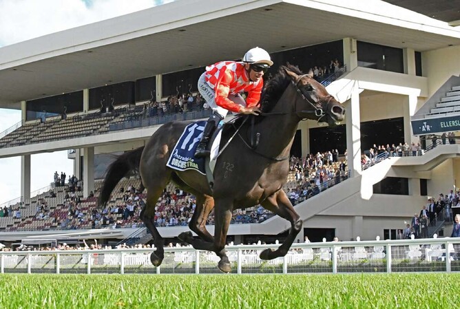 Haunui Farm will offer a full-sister to Group One winner Orchestral (pictured) at New Zealand Bloodstock's National Yearling Sale, which commences on January 26.  - Photo: Kenton Wright (Race Images)