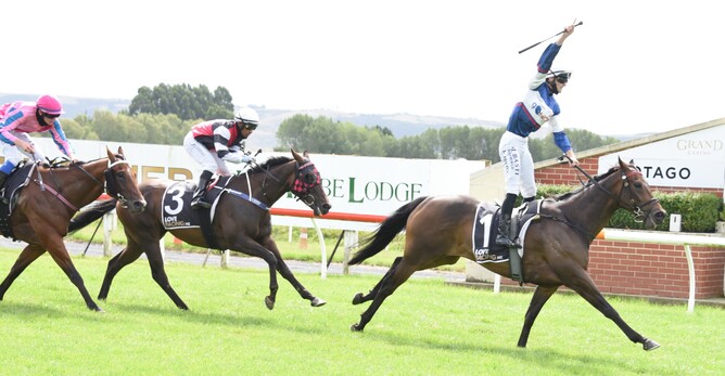 A delighted Jacob Lowry salutes as Hasabro takes out the Gr.3 White Robe Lodge (1600m) at Wingatui Photo Credit: Tayler Strong