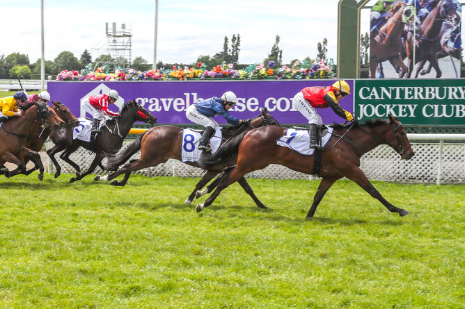 La Romanee winning the Listed Welcome Stakes at Riccarton - Race Images South