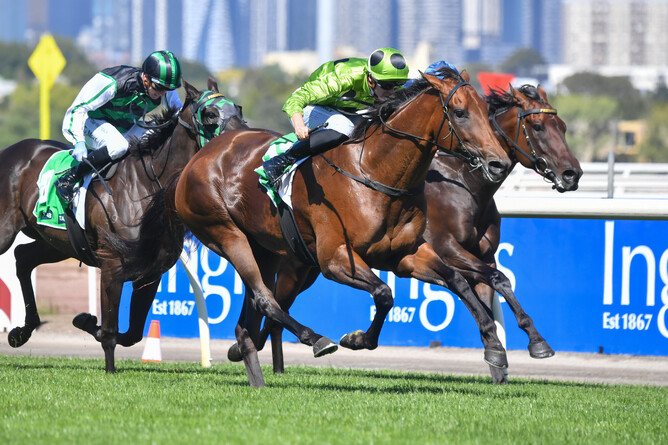 Marble Arch wins the VRC Blamey S. Gr.2 at Flemington. - Photo: Racing Photos