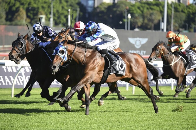 Explosive Jack (outer) heads a New Zealand-bred trifecta as he defeats Young Werther (inner) and Lion’s Roar (obscured, middle) in the Gr.1 Australian Derby (2400m) Photo Credit: Bradleyphotos.com.au