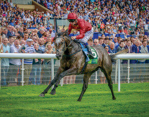 Book Closed for Roaring Lion