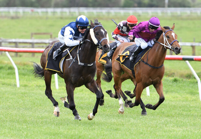 Piaggio (outside) winning at Tauherenikau on Thursday. - Race Images