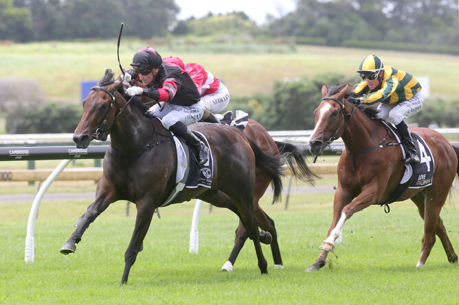 Maria Farina winning at Ellerslie on Sunday.