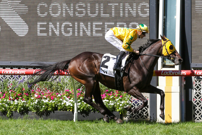 Shanwah books a shot at the Gr.1 Australian Derby (2400m) ahead of his move to Hong Kong.  - Photo: Bruno Cannatelli