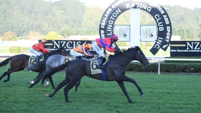 Faye Lazet guides Verry Flash to an impressive fresh-up win in the Listed James Bull Holdings Rangitikei Gold Cup (1600m) at Trentham - Photo: Race Images - Grant Matthew