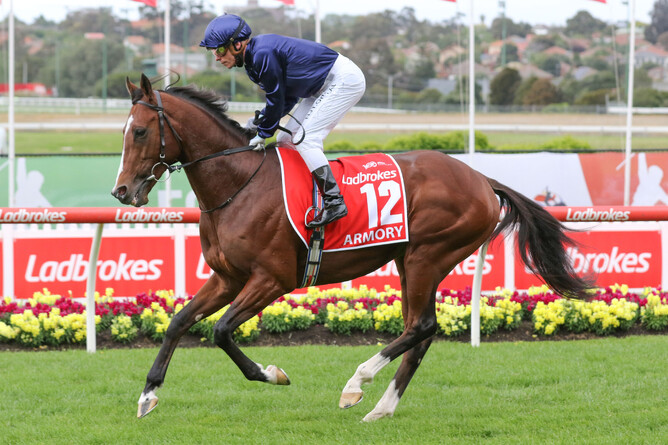 Armory will stand at Mapperley Stud this coming breeding season.  - Photo: Bruno Cannatelli