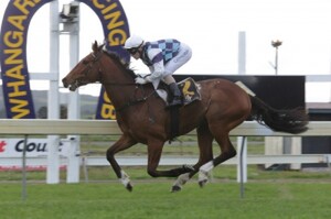 Volkstock’n’barrell wins the Group 3 Manuka Doctor Bonecrusher Stakes  - Photo:Trish Dunell