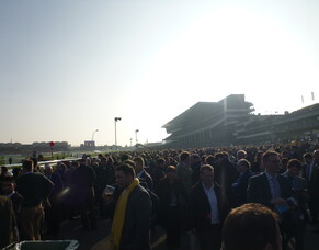 Jamie&#039;s Blog - March (wk4) 2012