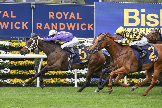 Aeliana delivered a brilliant performance to win the A$250,000 Gr.3 Bisley Workwear Reginald Allen Quality (1400m) at Randwick on Saturday.  - Photo: Bradleyphotos.com.au
