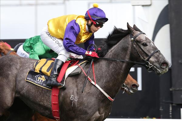 Photo: NZ Racing Desk