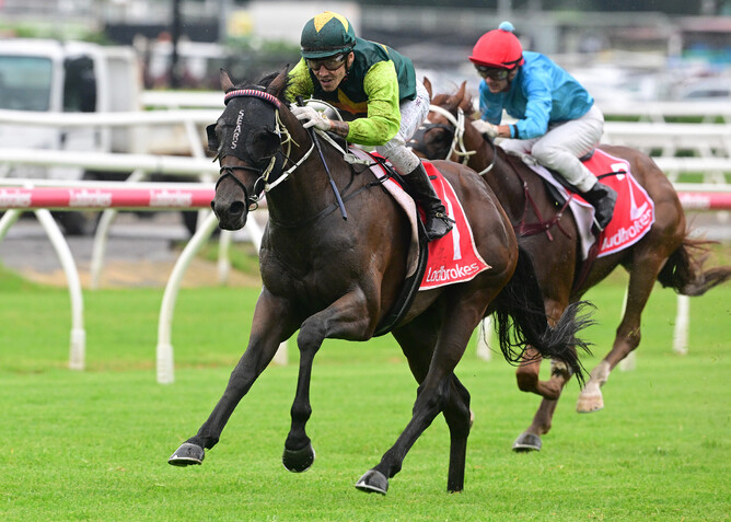 Beau Dazzler scores a strong victory in the Gr.3 Grand Prix Stakes (1800m) at Eagle Farm on Saturday.  - Photo: Grant Peters