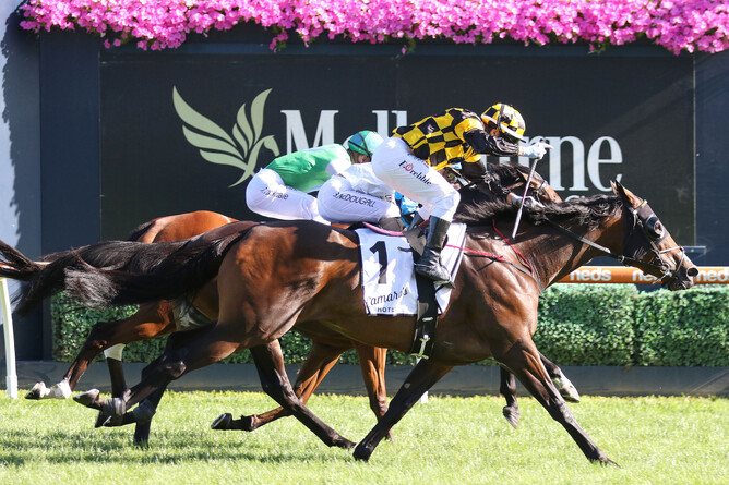 Probabeel drives home late to claim victory in the Gr.3 Geoffrey Bellmaine Stakes (1200m) - Photo: Bruno Cannatelli