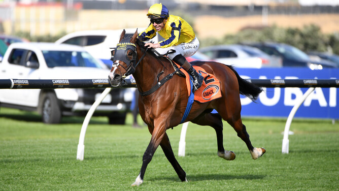 Waitak is all alone at the finish of the Gr.1 Livamol Classic. - Photo: Kenton Wright (Race Images)