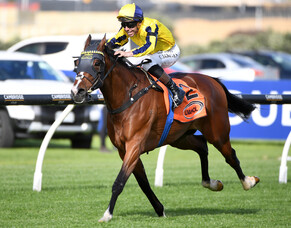 Stunning Waitak leaves Livamol rivals in his wake