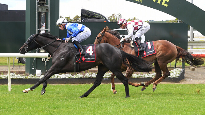 Sacred Satono overpowers Babylon Berlin to score in the Gr.3 Haunui Farm Counties Bowl (1100m) at Pukekohe. - Photo: Kenton Wright (Race Images)