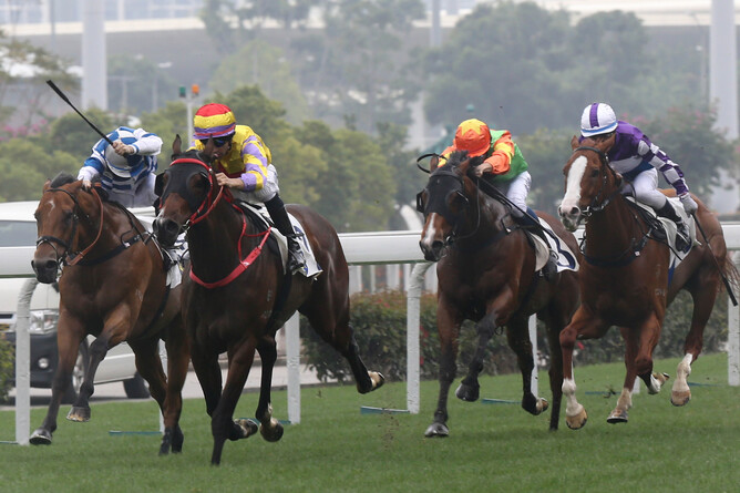 Hong Kong Derby (2000m) winner Ping Hai Star. Photo: HKJC