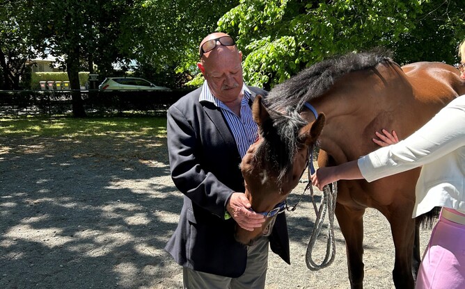 Breeder Rick Hill pictured with Bozo, winner of the Gr.3 Martin Collins New Zealand Cup (3200m) at Riccarton last Saturday.
