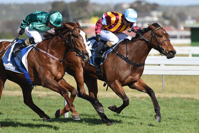Its Time For Magic (inside) winning the O'Leary's Fillies Listed Stakes at Wanganui