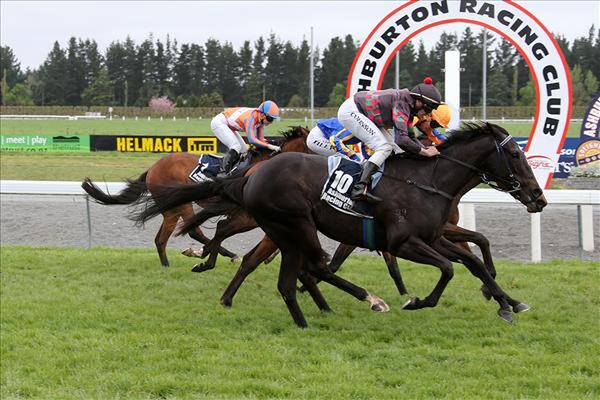 Strada Cavallo wins the Listed John Grigg Stakes at Ashburton