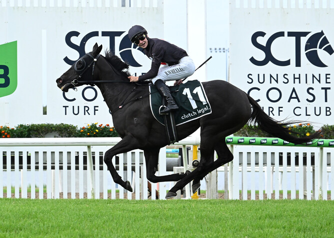 Elettrica wins the Sunshine Coast Listed Cup. - Photo: Grant Peters