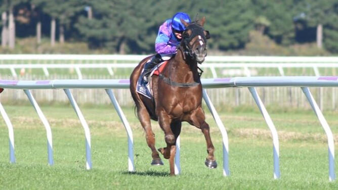 Amusez Moi is well clear towards the finish of the Listed AGC Training Stakes (1650m) at Waverley  - Photo: Race Images – Grant Matthew
