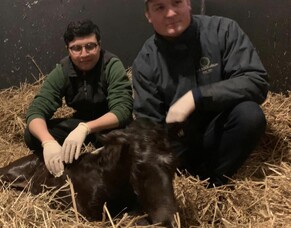 Nathan Trumper April Blog