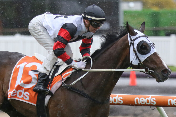 Gunstock winning the Gr.3 Coongy Cup (2000m) at Caulfield on Wednesday - Photo: Bruno Cannatelli
