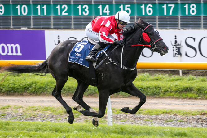 All About Magic was too strong for her rivals in the Listed Berkley Stud Champagne Stakes at Riccarton - Race Images South