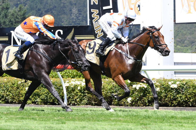 Bonham (inner) holds out a late charge from Brando to win the Gr.1 Devan Plastics Levin Classic (1600m)
